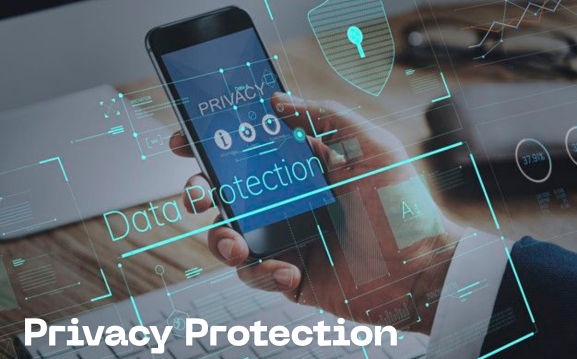 Digital Privacy Protection Trends